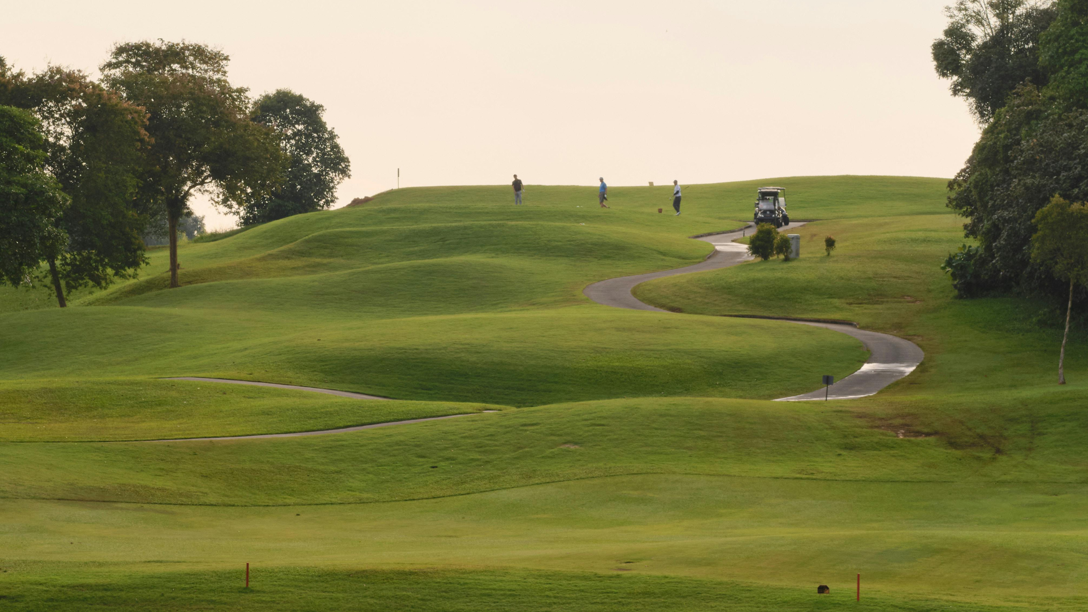 Stand Bag vs Cart Bag: Which One Is Better?
